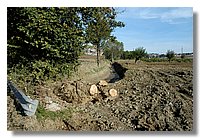 DSC_3285 (Large).JPG