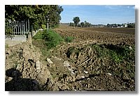 DSC_3286 (Large).JPG