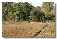 DSC_3291 (Large).JPG