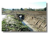 DSC_3294 (Large).JPG