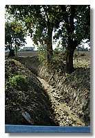 DSC_3302 (Large).JPG