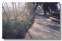 Untitled-1.jpg