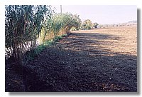 Untitled-4.jpg