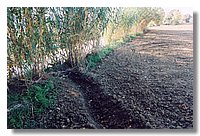 Untitled-5.jpg