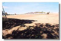 Untitled-6.jpg