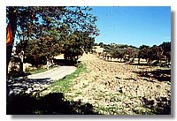 campoceraso3.jpg