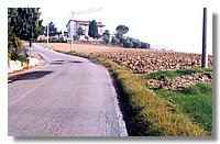 8 (Large).jpg
