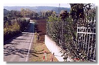 9 (Large).jpg