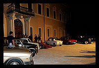 DSC_2954 (Medium).JPG