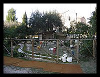 presepesanpaterniano1.jpg