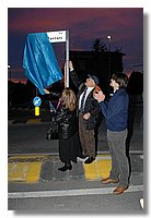 039 (Medium).JPG