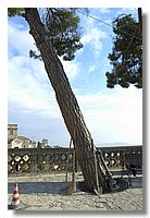 Immagine 025.jpg
