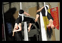 FBS_2368 (Large).JPG