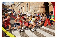 low_res_110011.jpg