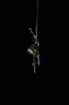 dsc_1875_small.jpg