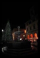 FBS_0523 (Medium).JPG