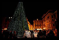 FBS_0531 (Medium).JPG