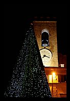 FBS_0633 (Medium).JPG