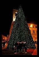 FBS_0637 (Medium).JPG