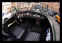 FBS_7420 (Large).JPG