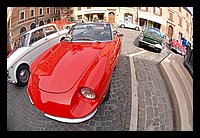 FBS_7421 (Large).JPG