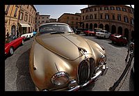 FBS_7434 (Large).JPG