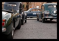 FBS_7460 (Large).JPG