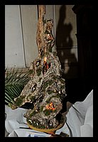 FBS_2699.JPG