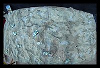 FBS_5325.JPG