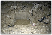 DSC_1675.JPG