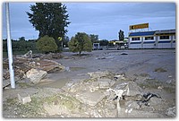 DSC_1676.JPG