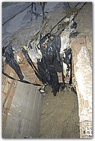 DSC_1678.JPG