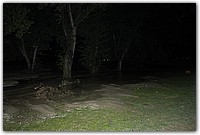 DSC_1695.JPG