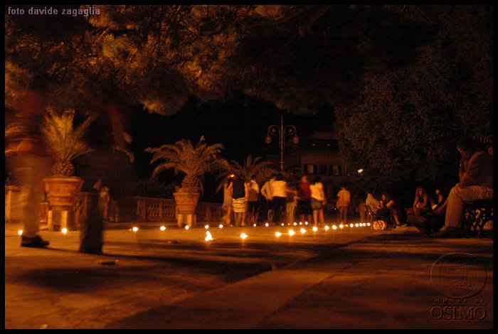 DSC_1677.JPG