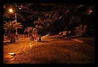 DSC_6606.JPG