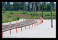 FBS_7497 (Large).JPG