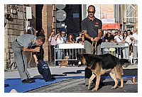 low_res_040.JPG