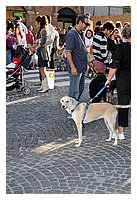 low_res_046.jpg