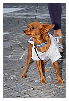 low_res_060.jpg