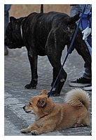 low_res_067.JPG