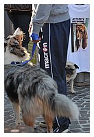 low_res_077.JPG
