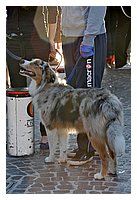 low_res_083.JPG