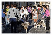 low_res_086.JPG