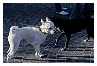 low_res_087.JPG