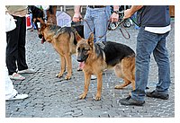 low_res_096.JPG