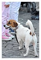 low_res_113.JPG