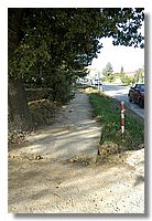DSC_3289 (Large).JPG