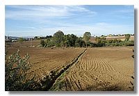 DSC_3290 (Large).JPG