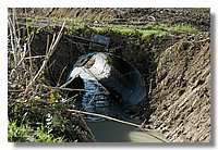 DSC_3293 (Large).JPG