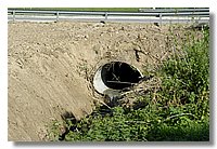 DSC_3295 (Large).JPG